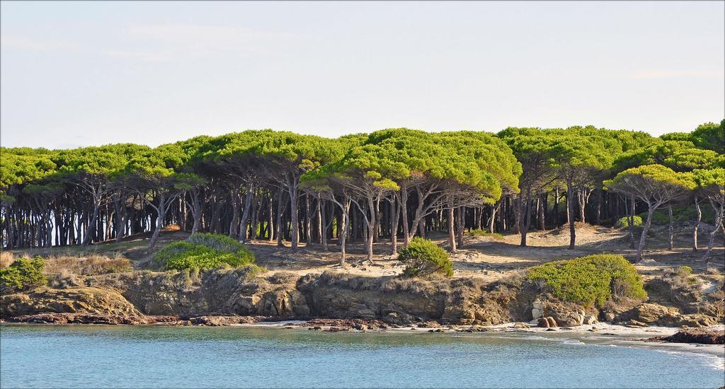 Appartamenti Le Magnolie Budoni Exterior photo