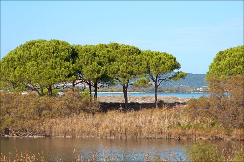Appartamenti Le Magnolie Budoni Exterior photo