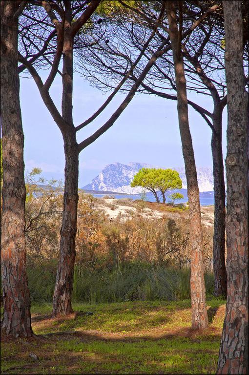 Appartamenti Le Magnolie Budoni Exterior photo